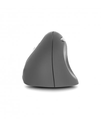 Mouse/Ergo Wireless-for Lefthander - Achat / Vente sur grosbill.com - 4