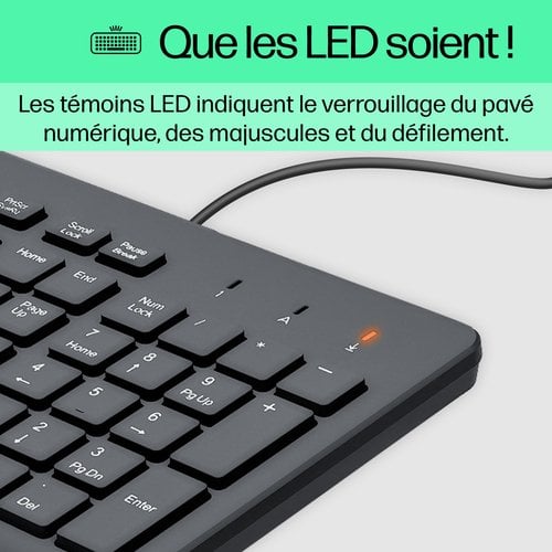 HP 150 WD KBD - Achat / Vente sur grosbill.com - 8