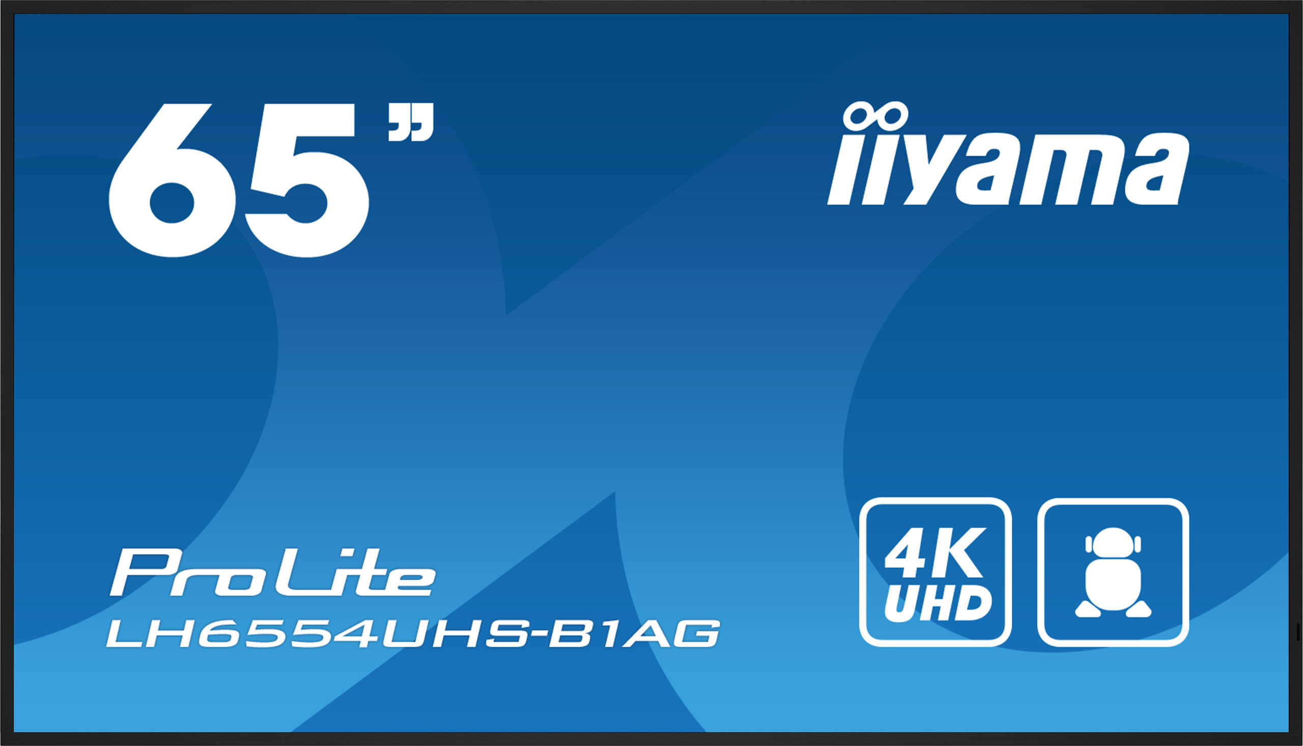 Iiyama LH6554UHS-B1AG (LH6554UHS-B1AG) - Achat / Vente Affichage dynamique sur grosbill.com - 0