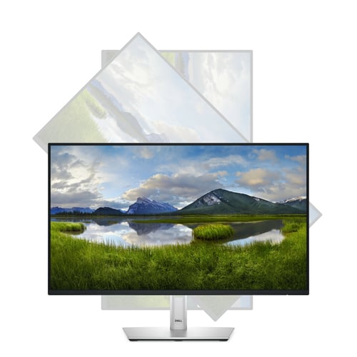 DELL 24 MONITOR - P2425H - Achat / Vente sur grosbill.com - 5