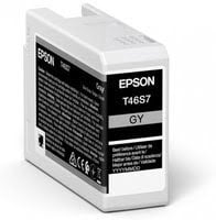 Epson Singlepack Gray T46S7 UltraChrome Pro 10 - Achat / Vente Consommable imprimante sur grosbill.com - 0