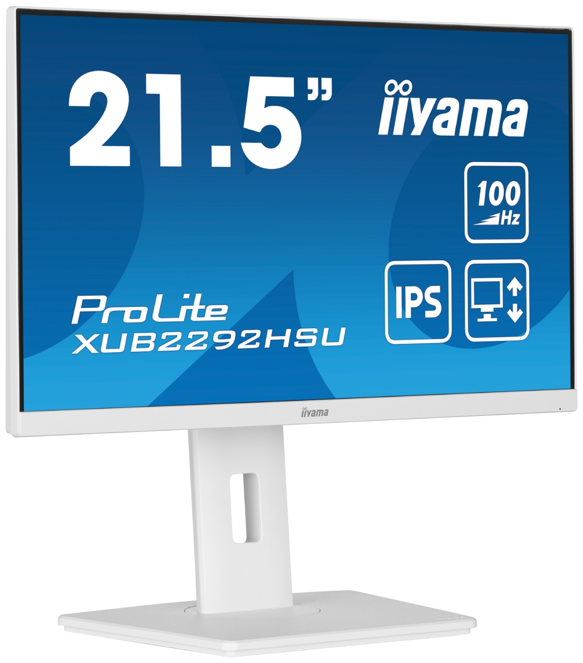 Iiyama 22"  XUB2292HSU-W6 - Ecran PC Iiyama - grosbill.com - 2