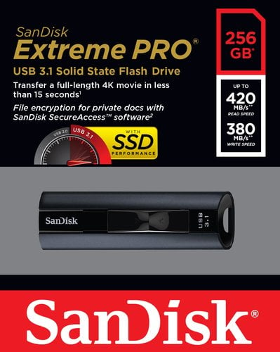 Ext PRO USB3.1 SolidStateFlashDrive256GB - Achat / Vente sur grosbill.com - 6