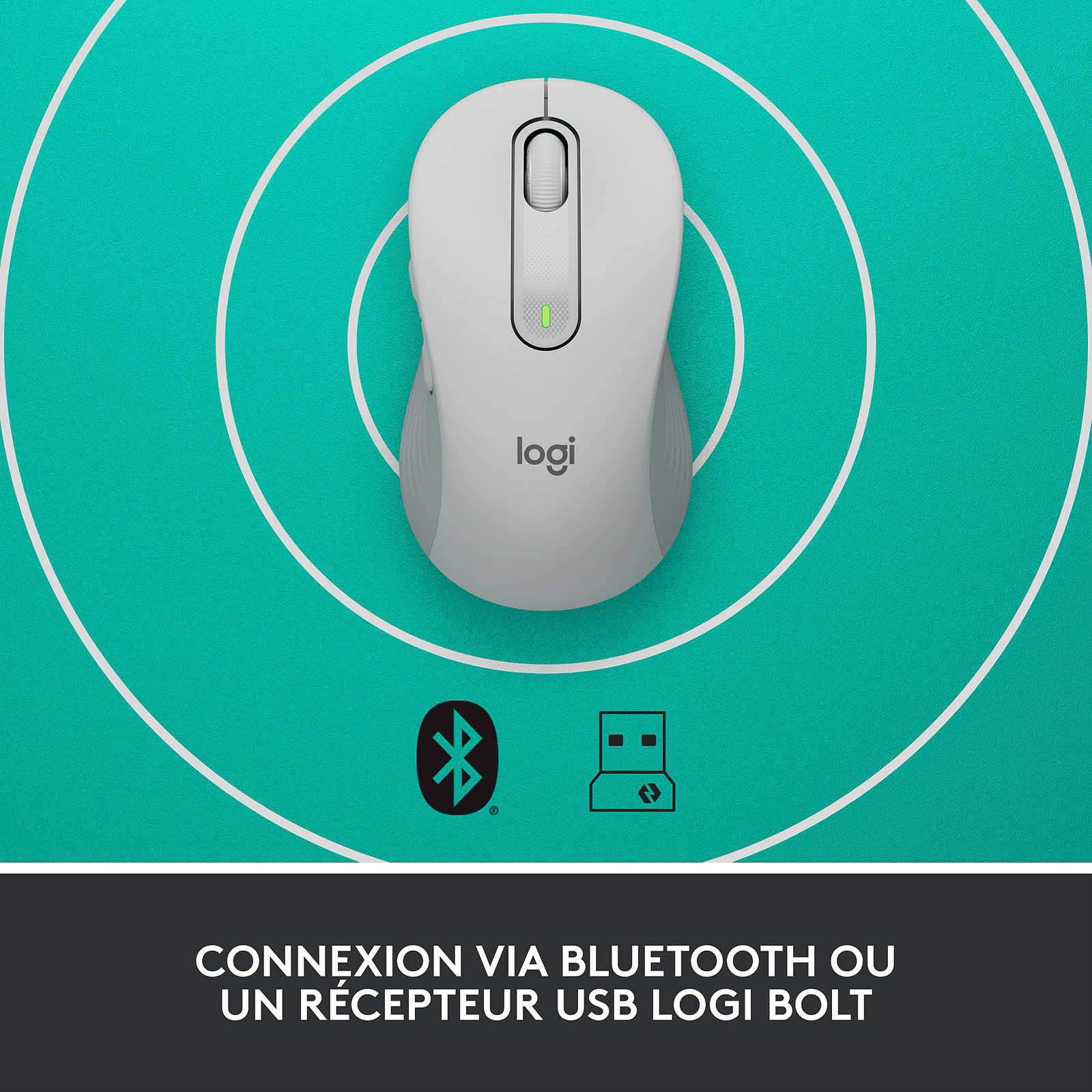 Logitech Signature M650 L Souris sans fil Grande…