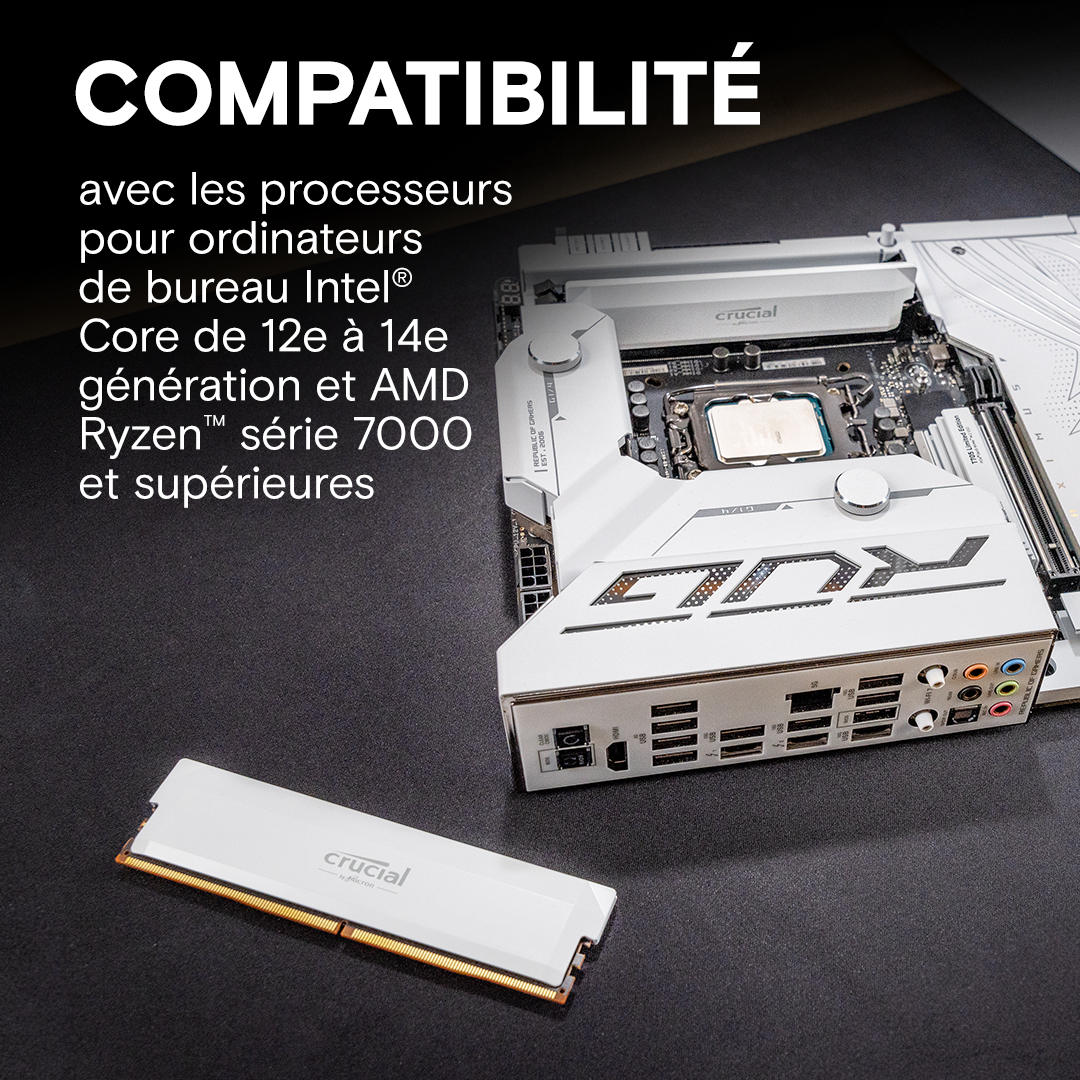 Crucial Pro Overclocking Edition 32Go (2x16Go) DDR5 6000MHz - Mémoire PC Crucial sur grosbill.com - 3