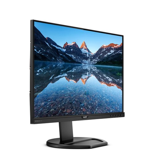 PHILIPS 252B9/00 25" - Achat / Vente sur grosbill.com - 13