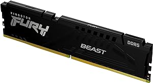 Kingston Fury Beast 8Go (1x8Go) DDR5 4800MHz - Mémoire PC Kingston sur grosbill.com - 0