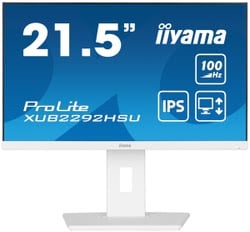 Ecran PC Iiyama Grosbill