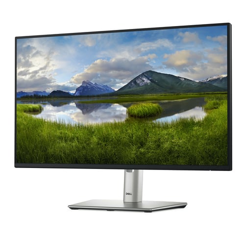 DELL 24 MONITOR - P2425H - Achat / Vente sur grosbill.com - 1