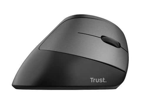 Trust Bayo Eco - Souris PC Trust - grosbill.com - 4