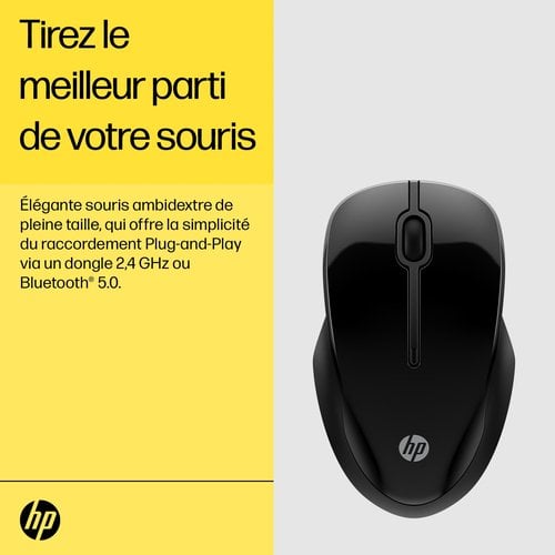 HP 250 Dual Wireless Mouse - Achat / Vente sur grosbill.com - 8