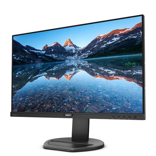 PHILIPS 252B9/00 25" - Achat / Vente sur grosbill.com - 16