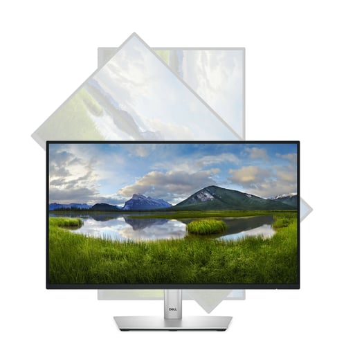 DELL 22 MONITOR - P2225H - Achat / Vente sur grosbill.com - 5