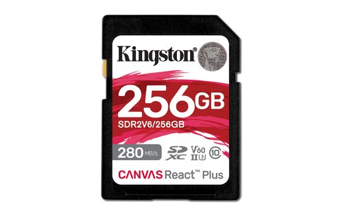 Kingston Micro SDXC 256Go Class 10 - - Carte mémoire Kingston - 0