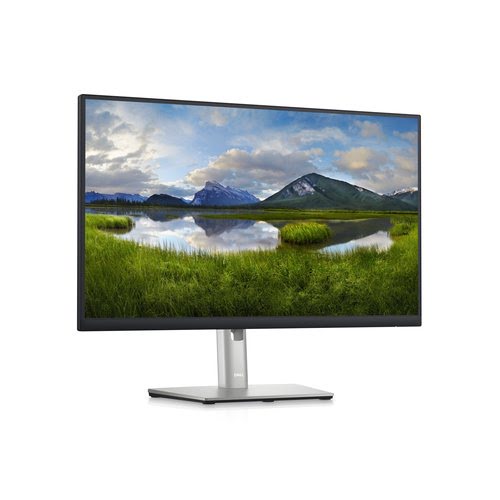 P Series P2423DE - 24"/IPS/QHD - Achat / Vente sur grosbill.com - 2