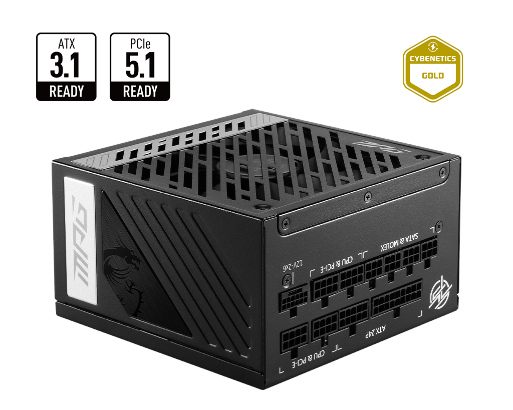 MSI MPG A850GS PCIE5 - ATX 850W - 80+ Gold (MPG A850GS PCIE5) - Achat / Vente Alimentation sur grosbill.com - 0