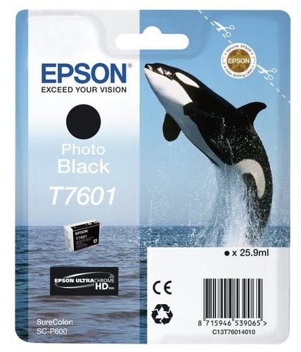 Epson Consommable imprimante MAGASIN EN LIGNE Grosbill