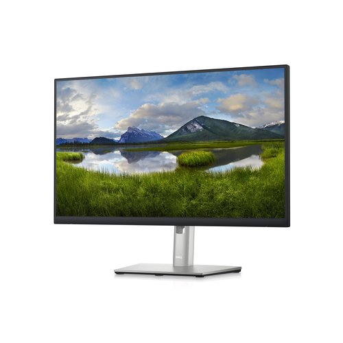 P Series P2423DE - 24"/IPS/QHD - Achat / Vente sur grosbill.com - 1