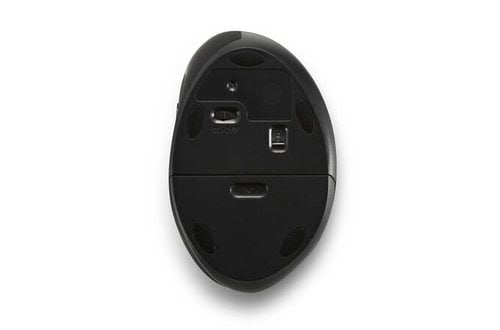  Pro Fit Ergo Wireless Mouse (K79810WW) - Achat / Vente sur grosbill.com - 8