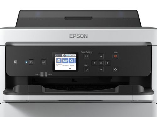 Epson - Magenta - C13T01C300 - Achat / Vente Consommable imprimante sur grosbill.com - 4