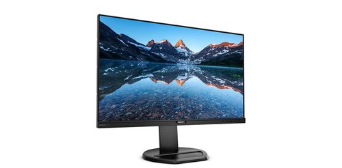 PHILIPS 252B9/00 25" - Achat / Vente sur grosbill.com - 3