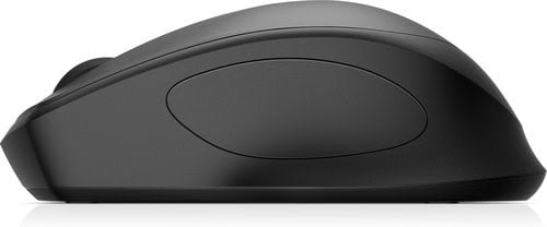 Wireless Silent Mouse EMEA-INTL (19U64AA#ABB) - Achat / Vente sur grosbill.com - 3