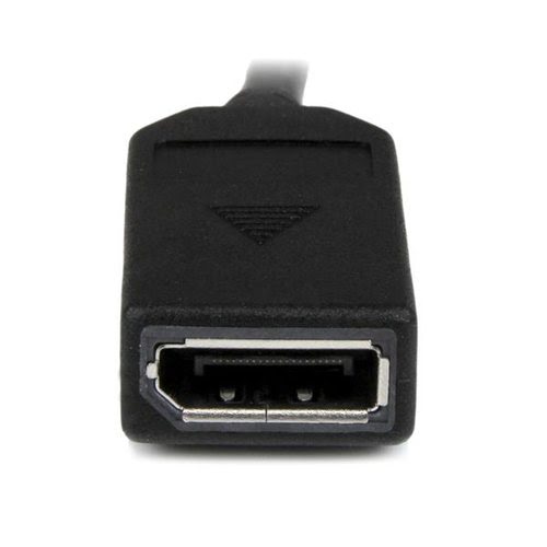 8in DMS-59 to Dual DisplayPort Cable - Achat / Vente sur grosbill.com - 2