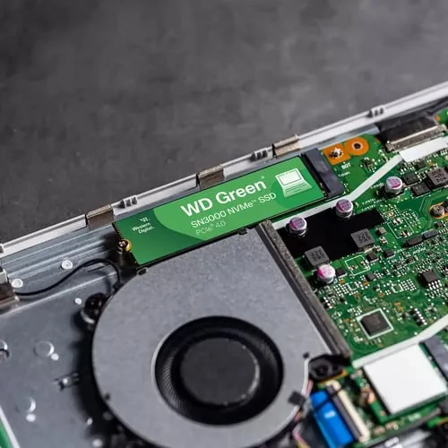 WD Green SN3000 500Go NVMe Gen4
